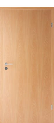 DURAT-TÜRBLATT BUCHE SF10  DIN RS<br/>86,0 x 198,5 CM   RÖHRENSPAN title=